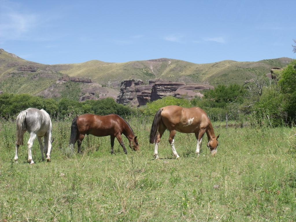 Ongamira Turismo Rural Hotel Córdoba Kültér fotó