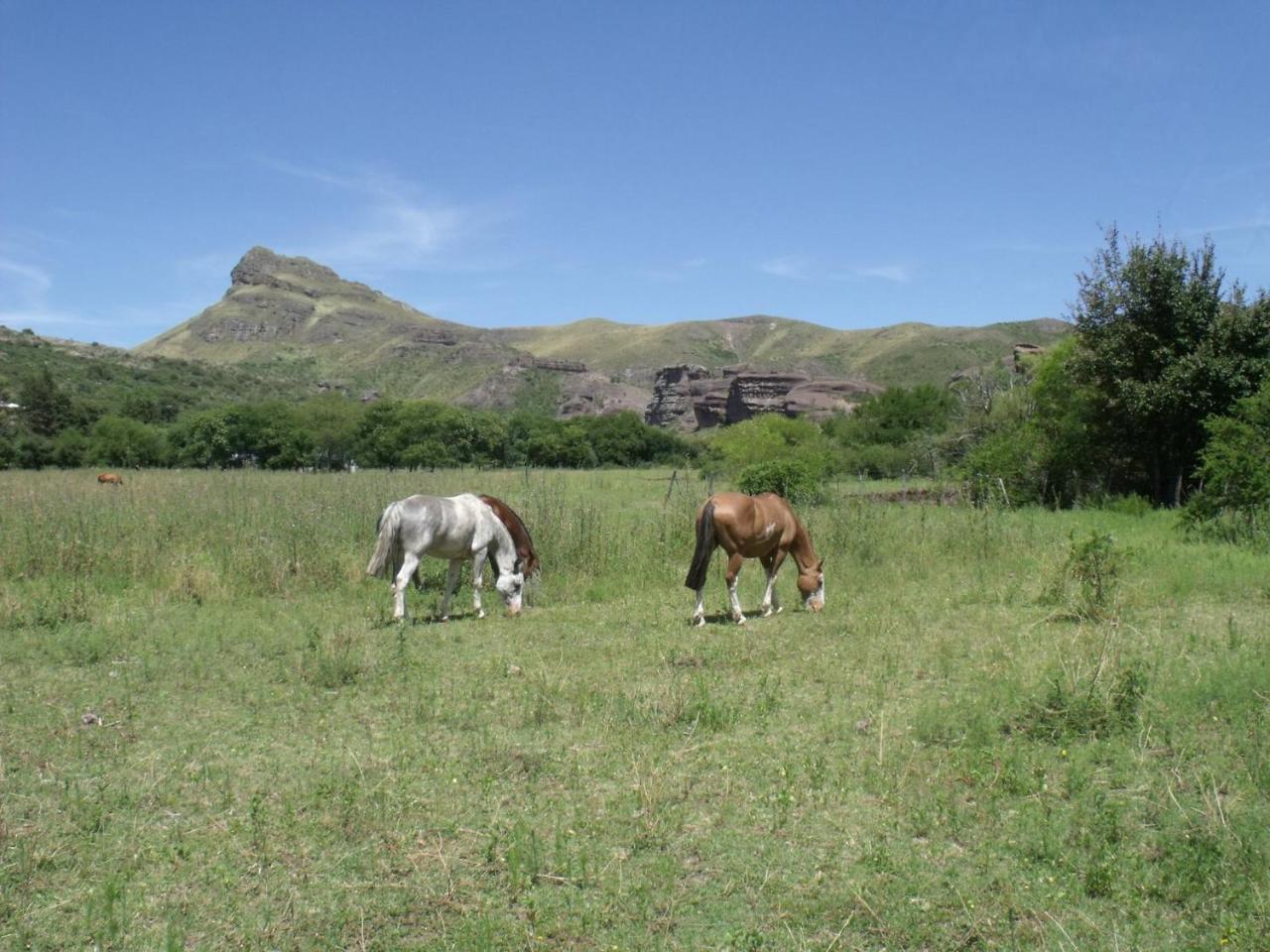 Ongamira Turismo Rural Hotel Córdoba Kültér fotó